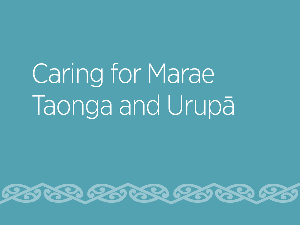 Emergency taonga care