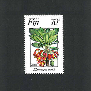 Flora Vitiensis