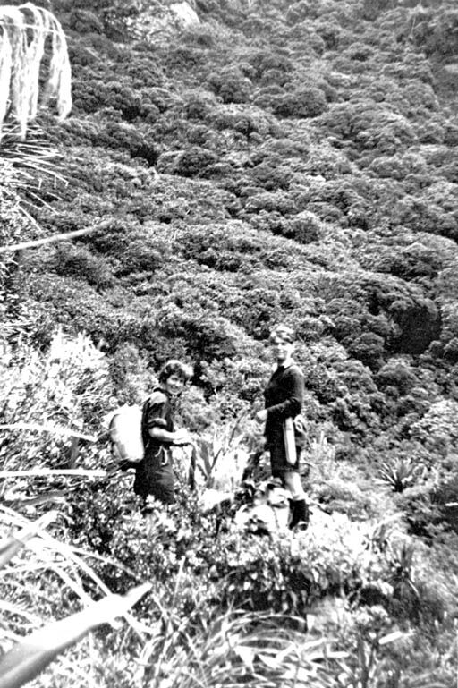 PH-1999-11