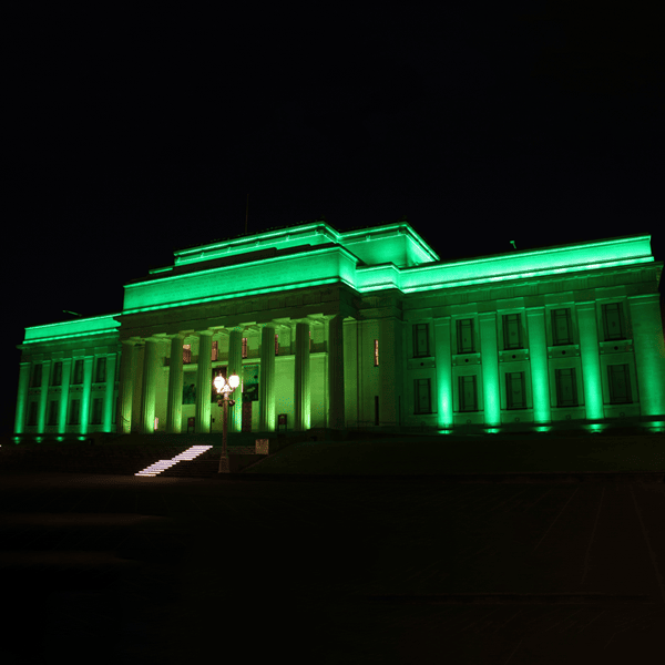 Museum goes green for World Environment Day