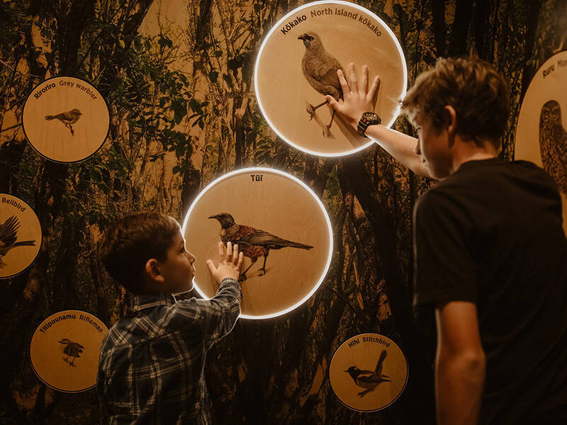 Can you make all the birds sing?