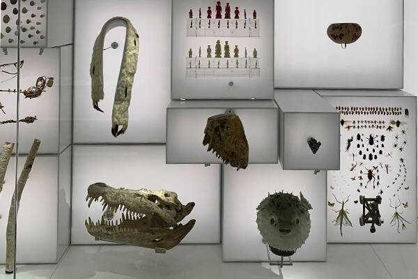 Collections & Connections