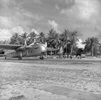 The lost Airmen of 41 Squadron