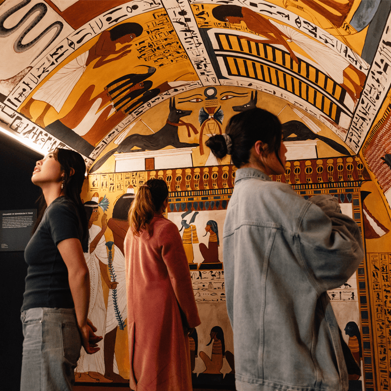 Egypt: In the Time of Pharaohs