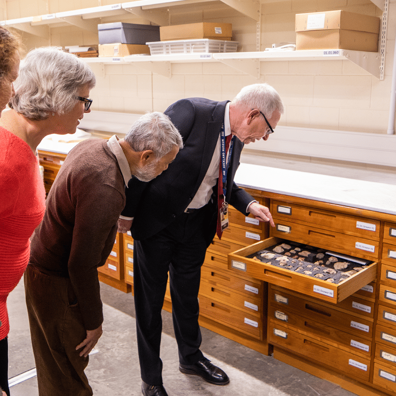 Back of house volunteer hosting a tour in the Museum stores