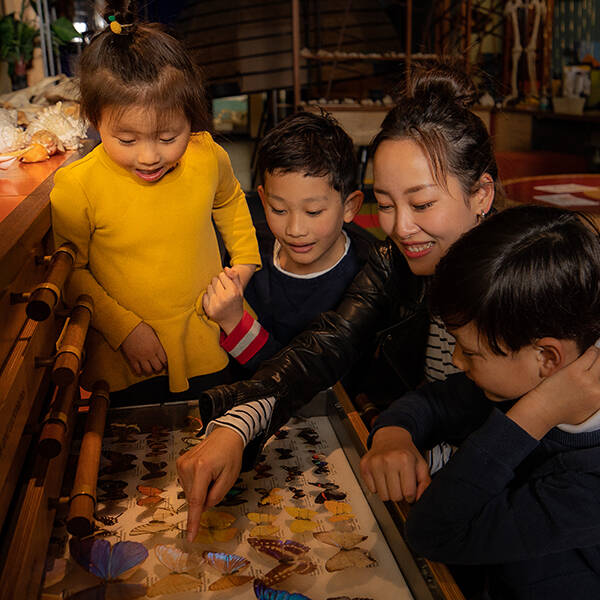 Love the Museum and live in Auckland?