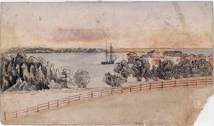 Auckland Harbour from Ponsonby