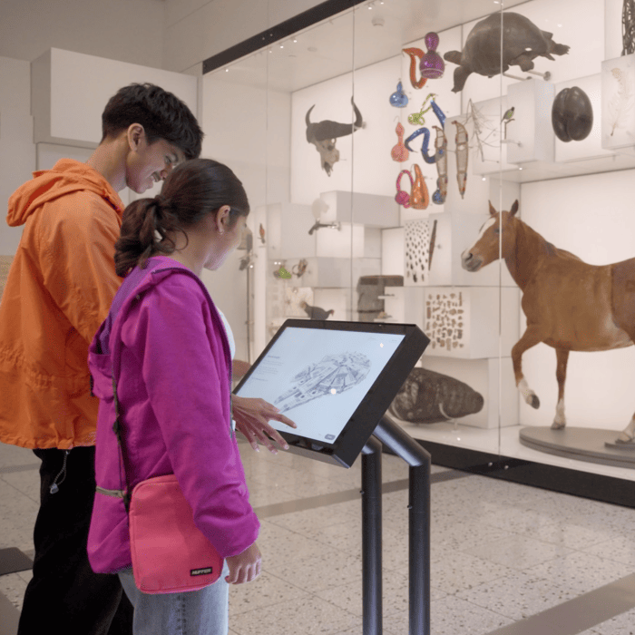 the imaginarium, auckland museum