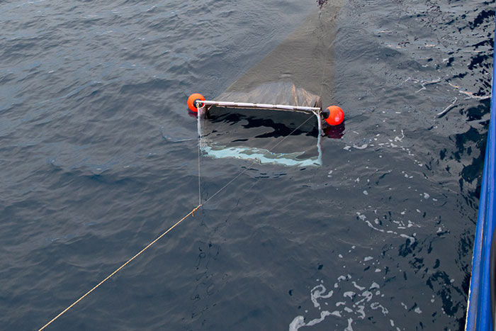 Surface plankton net