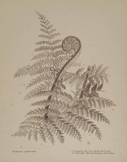 BHL on Flickr