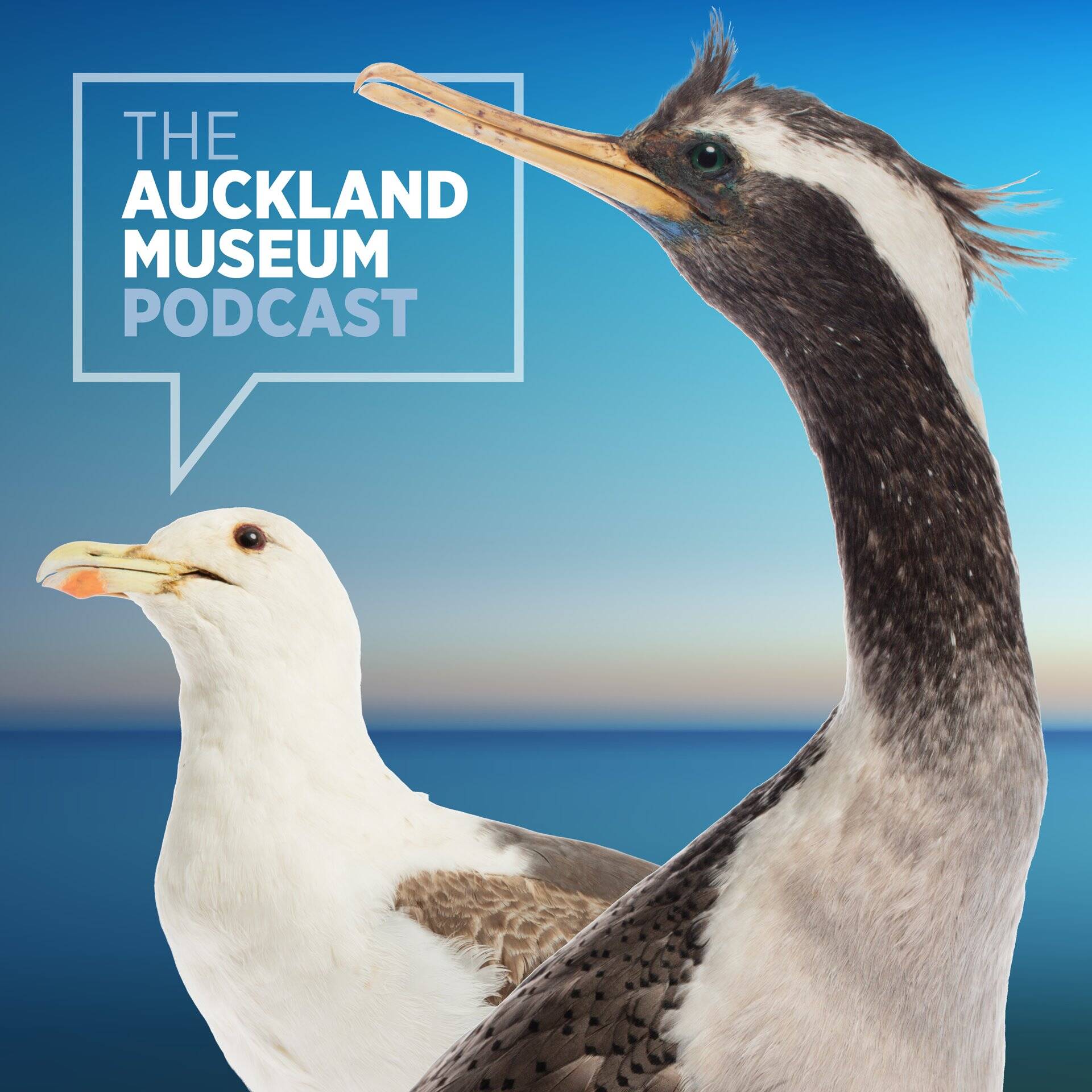 The Amp: Episode 14: Manu Moana