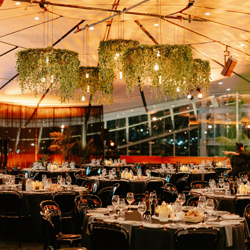 School Ball Venue Hire at Auckland Museum