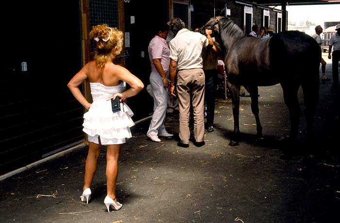 Karaka Yearling Sales