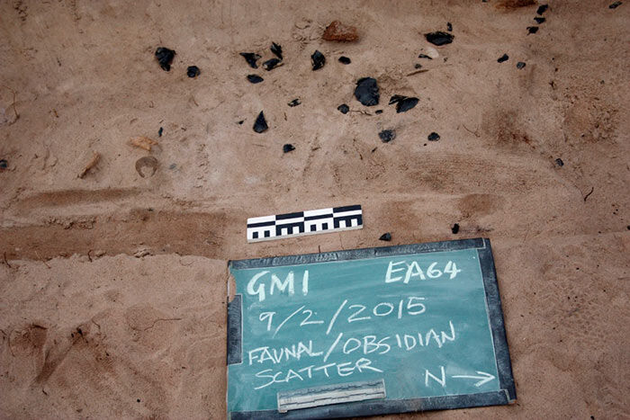 Obsidian flakes