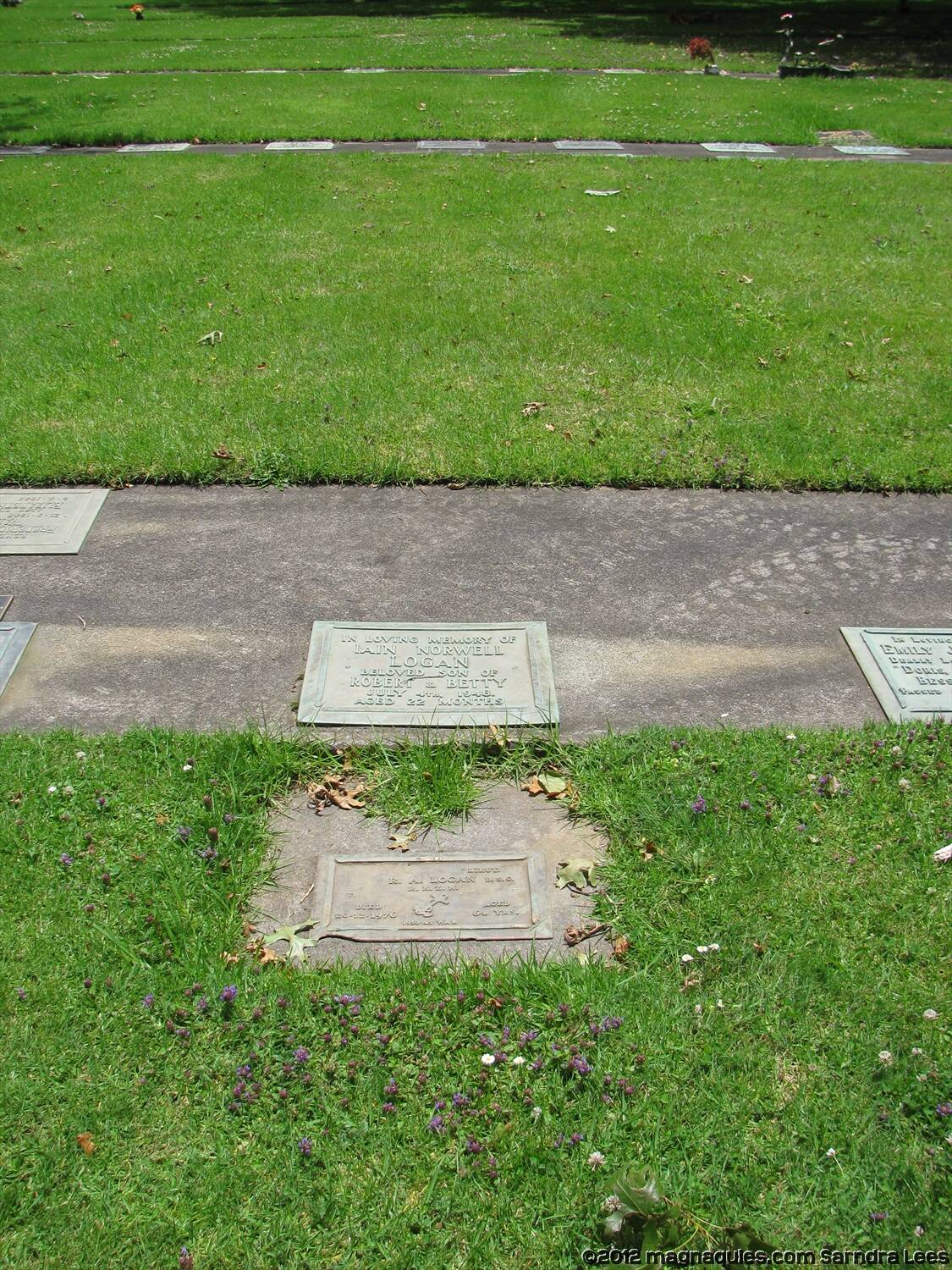 Robert Alexander Logan Online Cenotaph Auckland War Memorial Museum