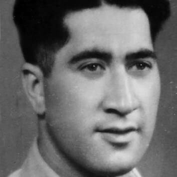 Motu Albert