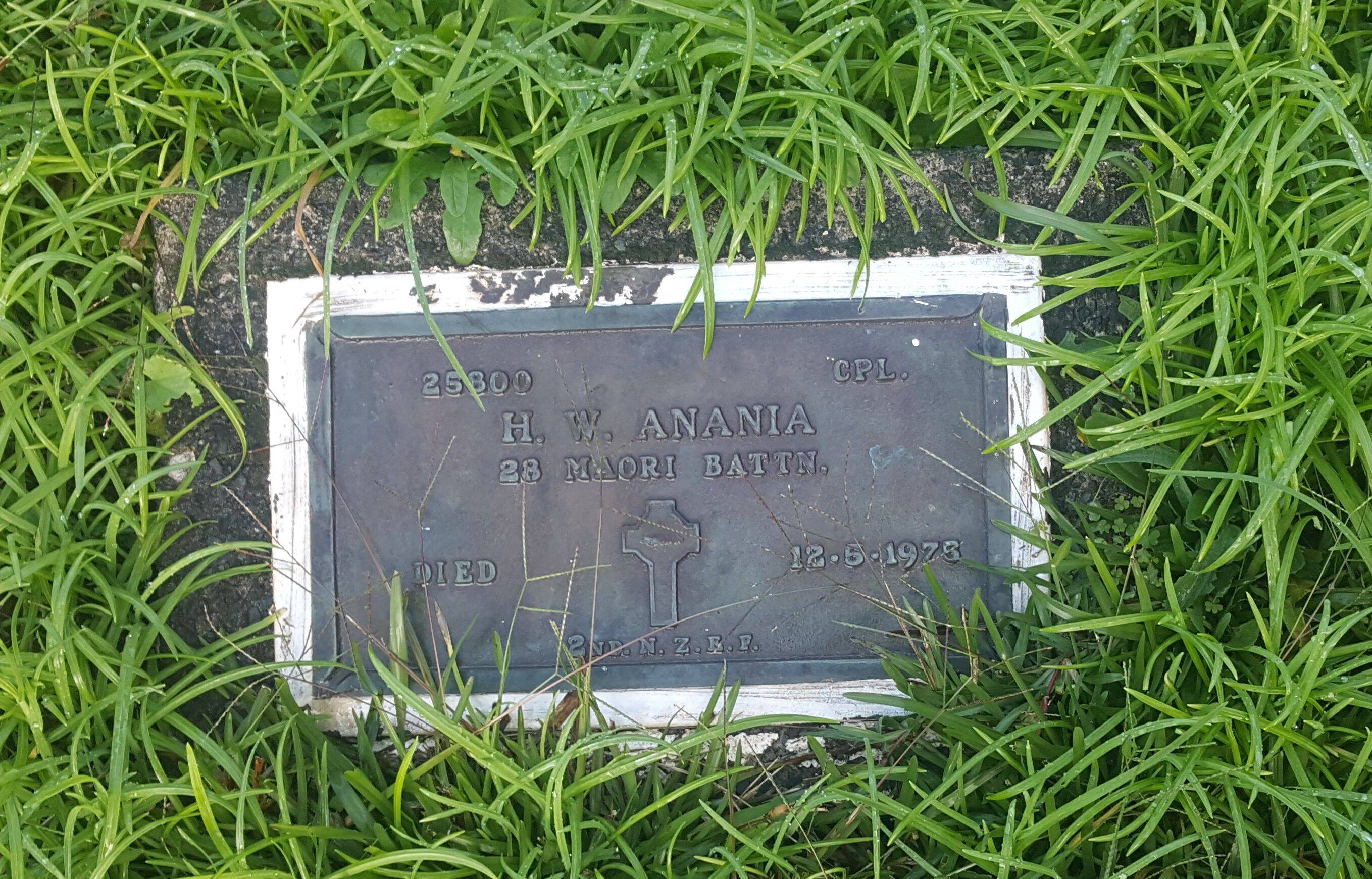 John William Anania