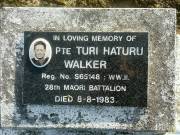 Turi Walker