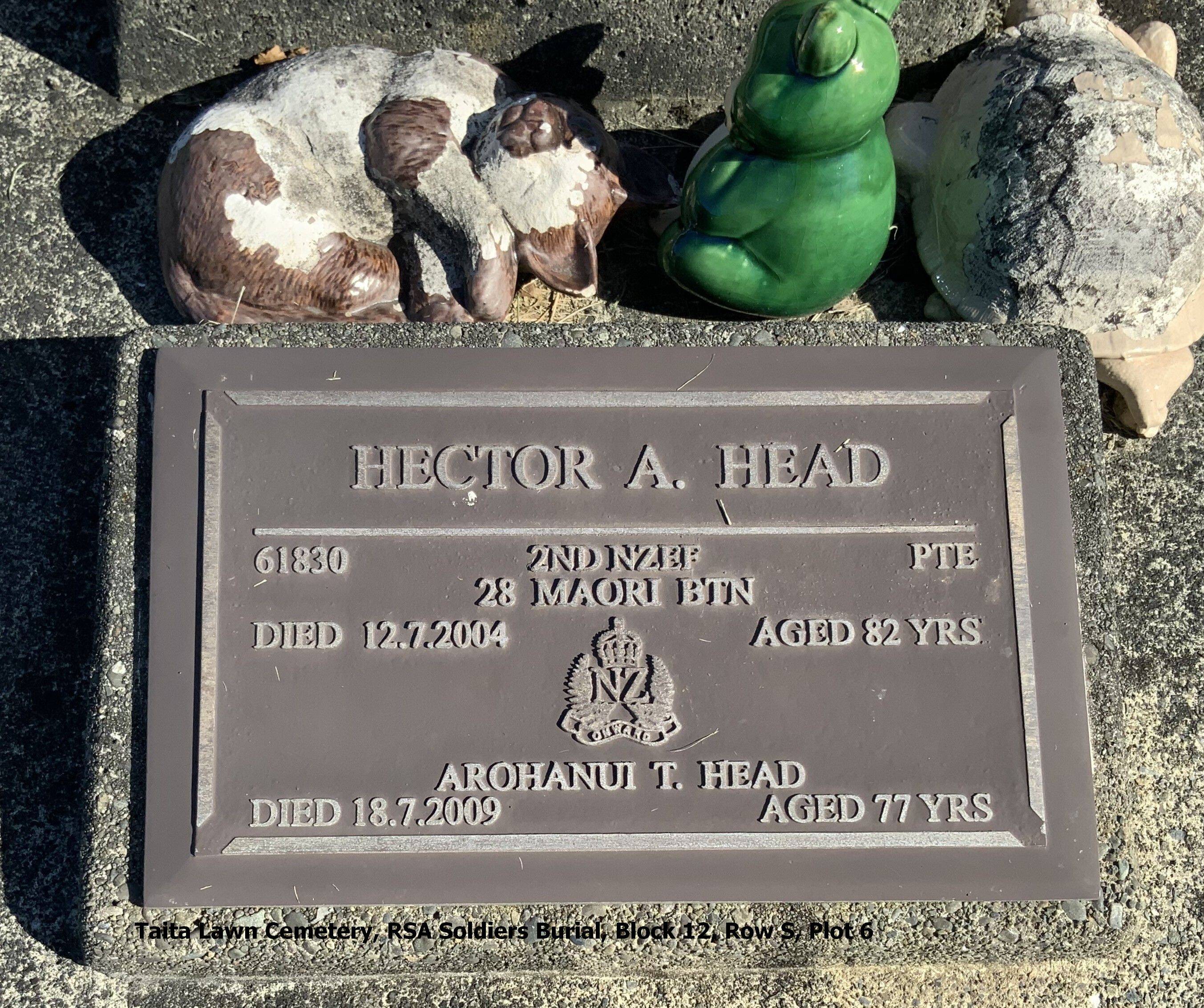 Hector Allen Head