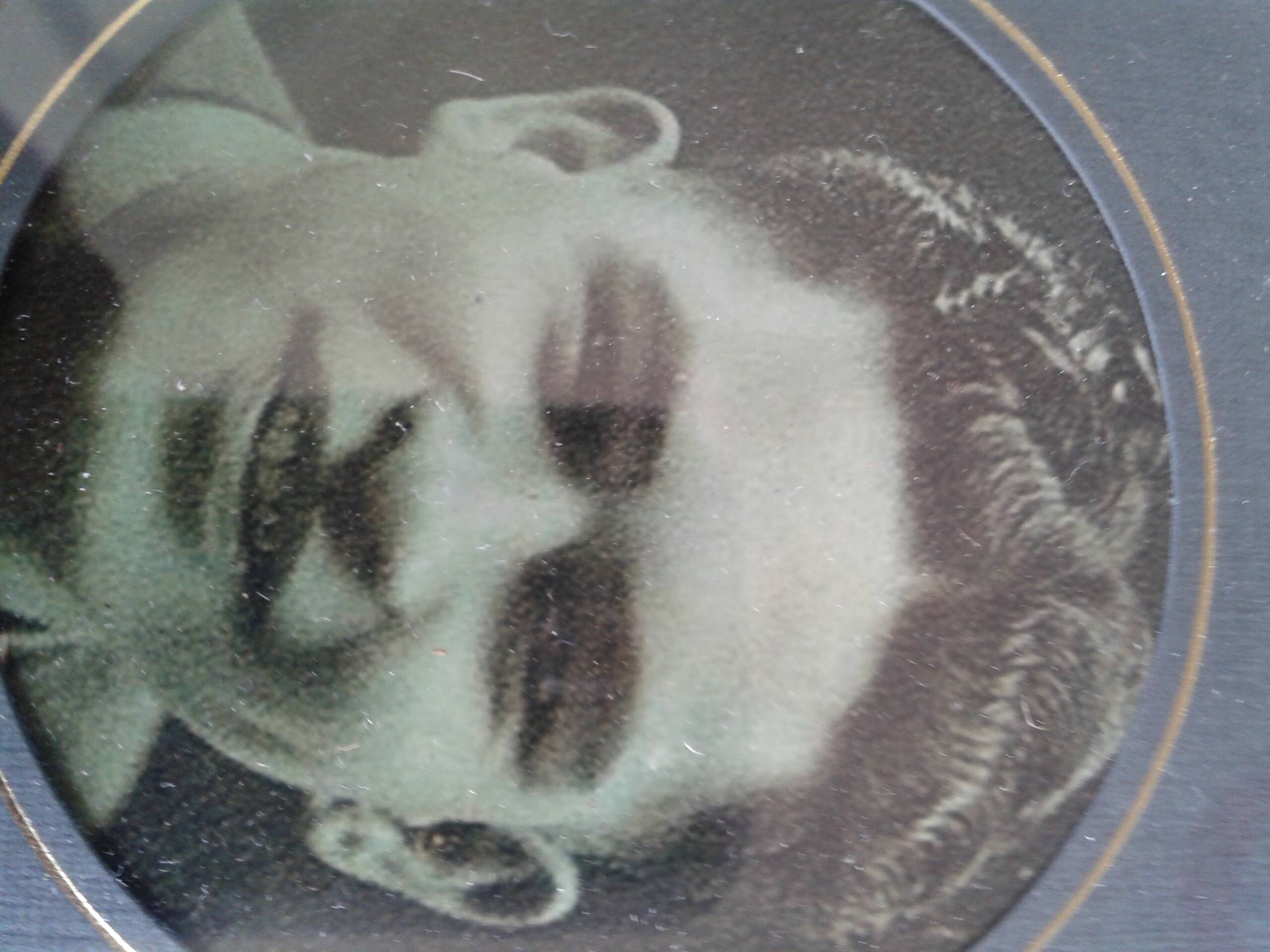 John Pokai Taurua