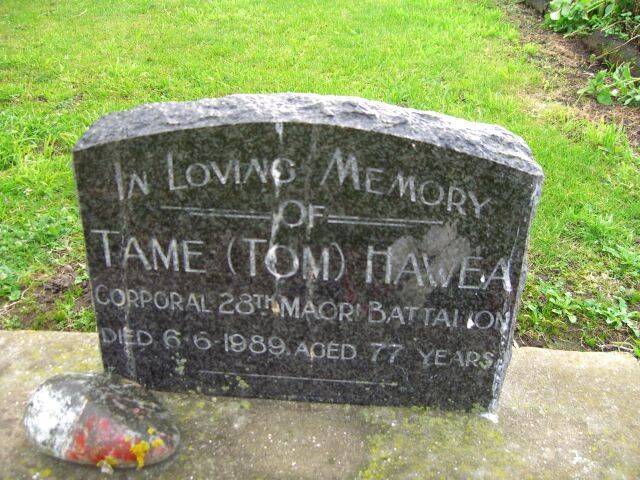 Tame Hawea