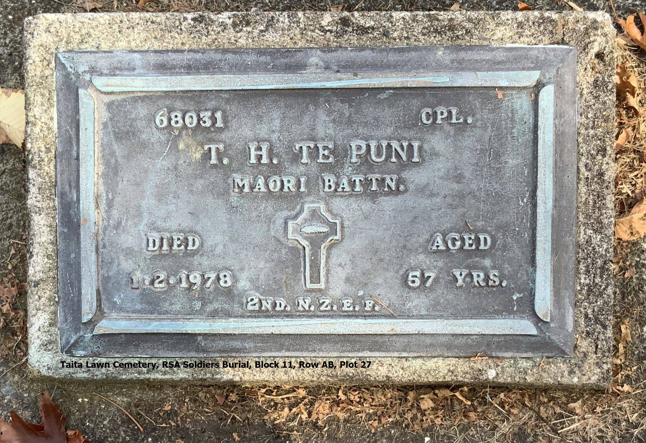 Thomas Henry Te Puni