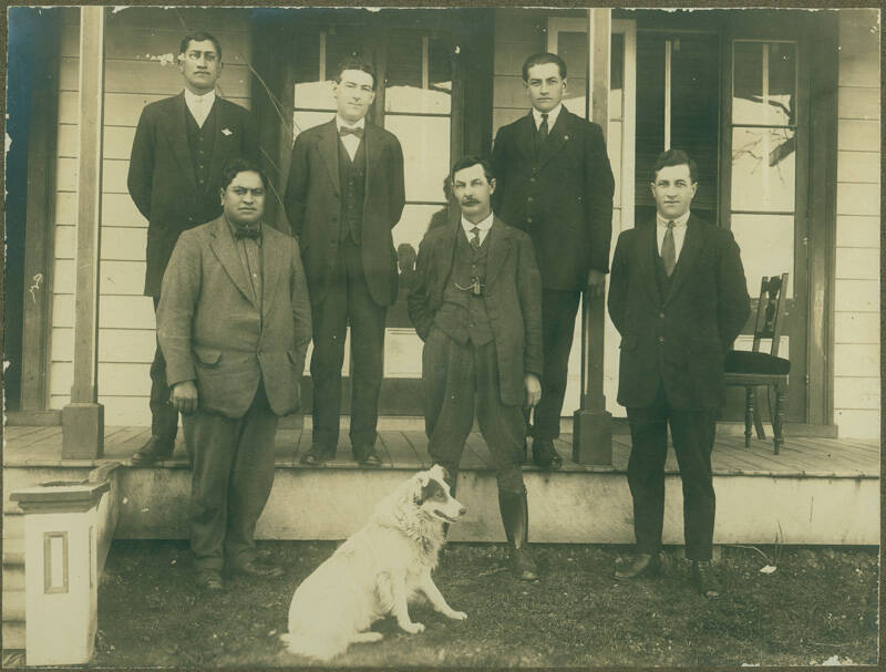 Tauranga Matui