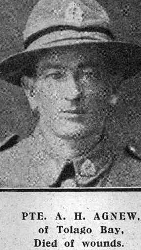 Albert Herbert Agnew