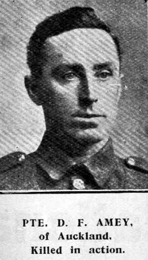 Daniel Francis Amey