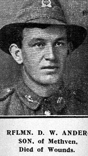 David Watson Anderson