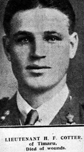 Henry Francis Cotter