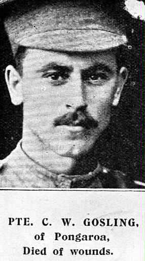 Charles William Gosling