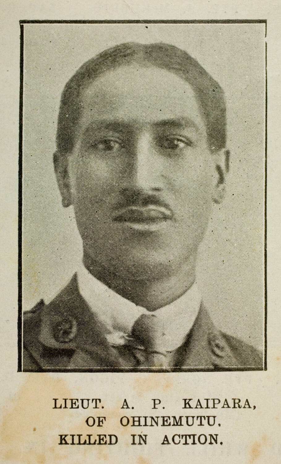 Autini Pitara Kaipara