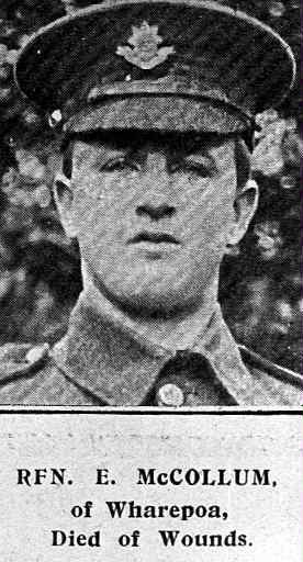 Ernest McCollum
