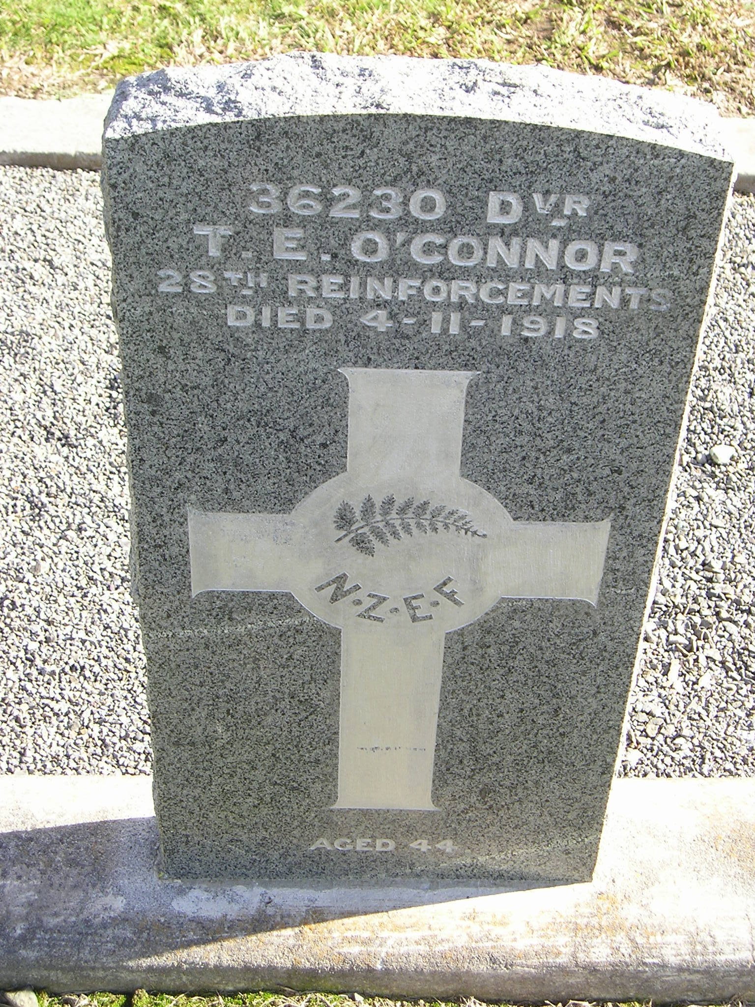 Timothy Edward O'Connor