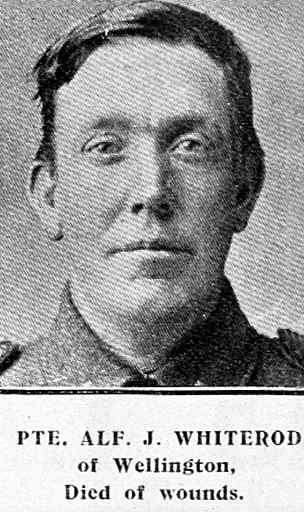 Alfred James Whiterod