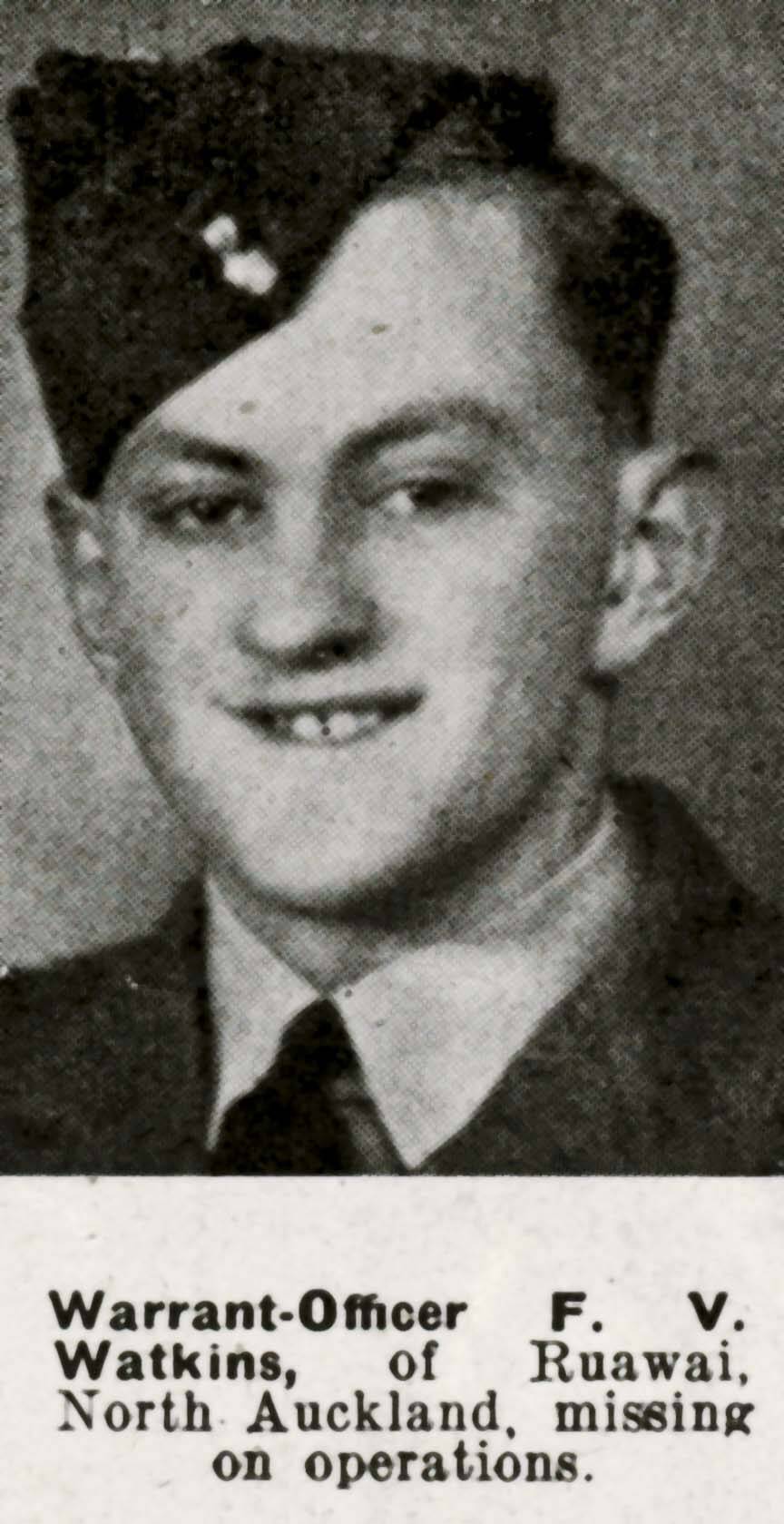 Frank Vernon Watkins
