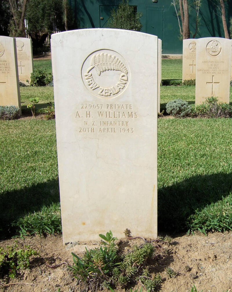 Albert Henry Williams