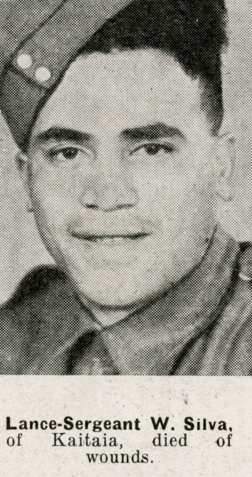 Wiki Silva