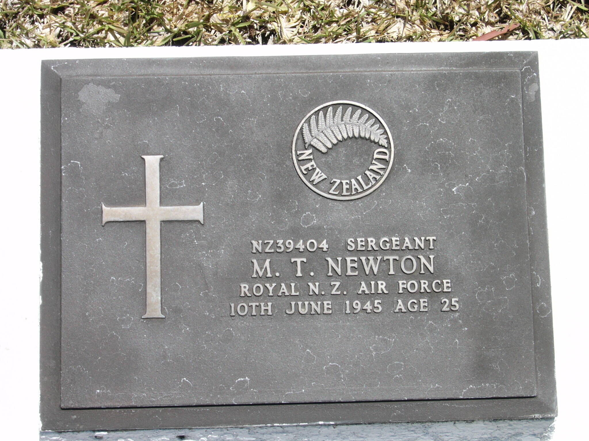 Michael Tazewell Newton