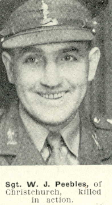William James Peebles