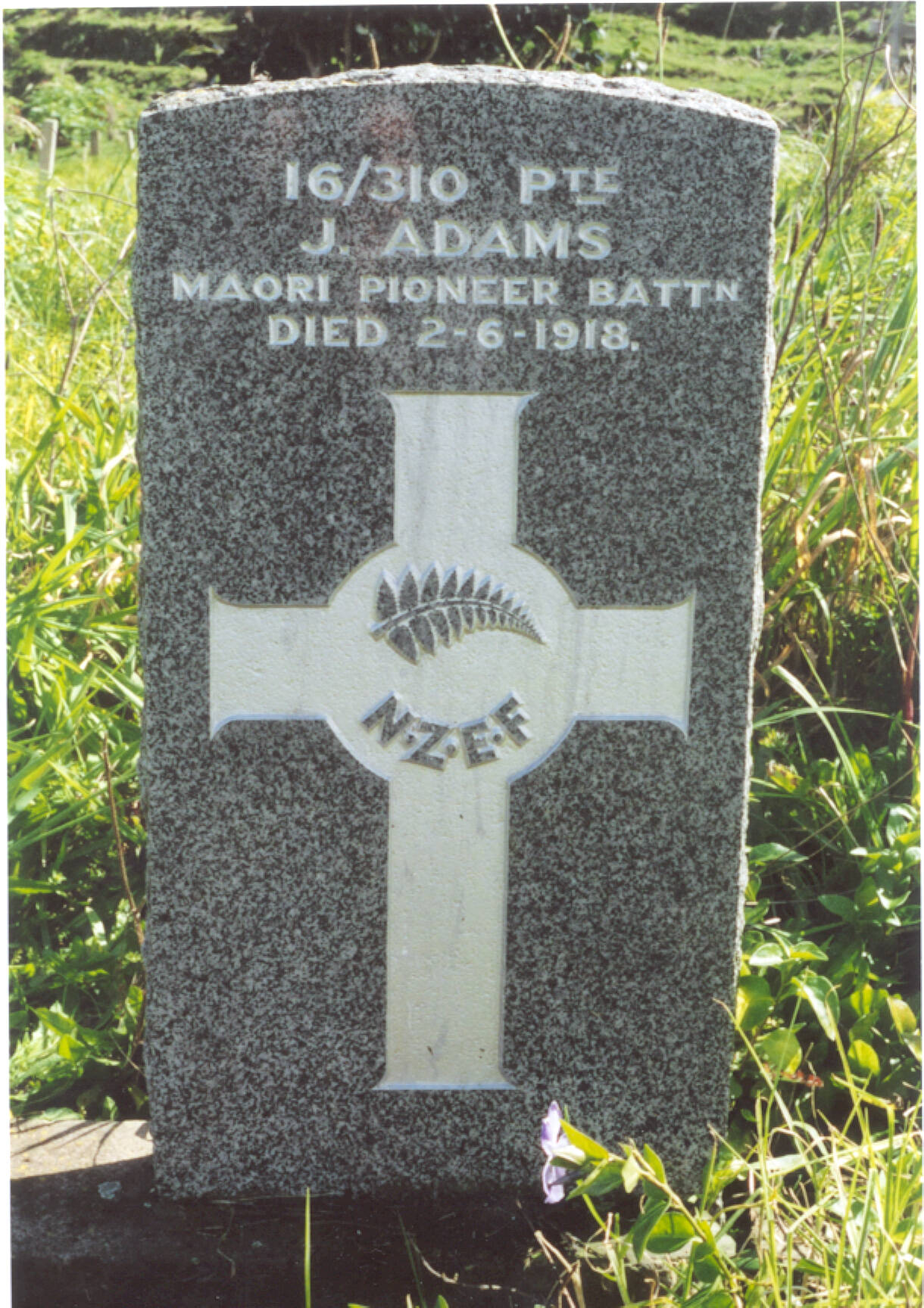 James Adams