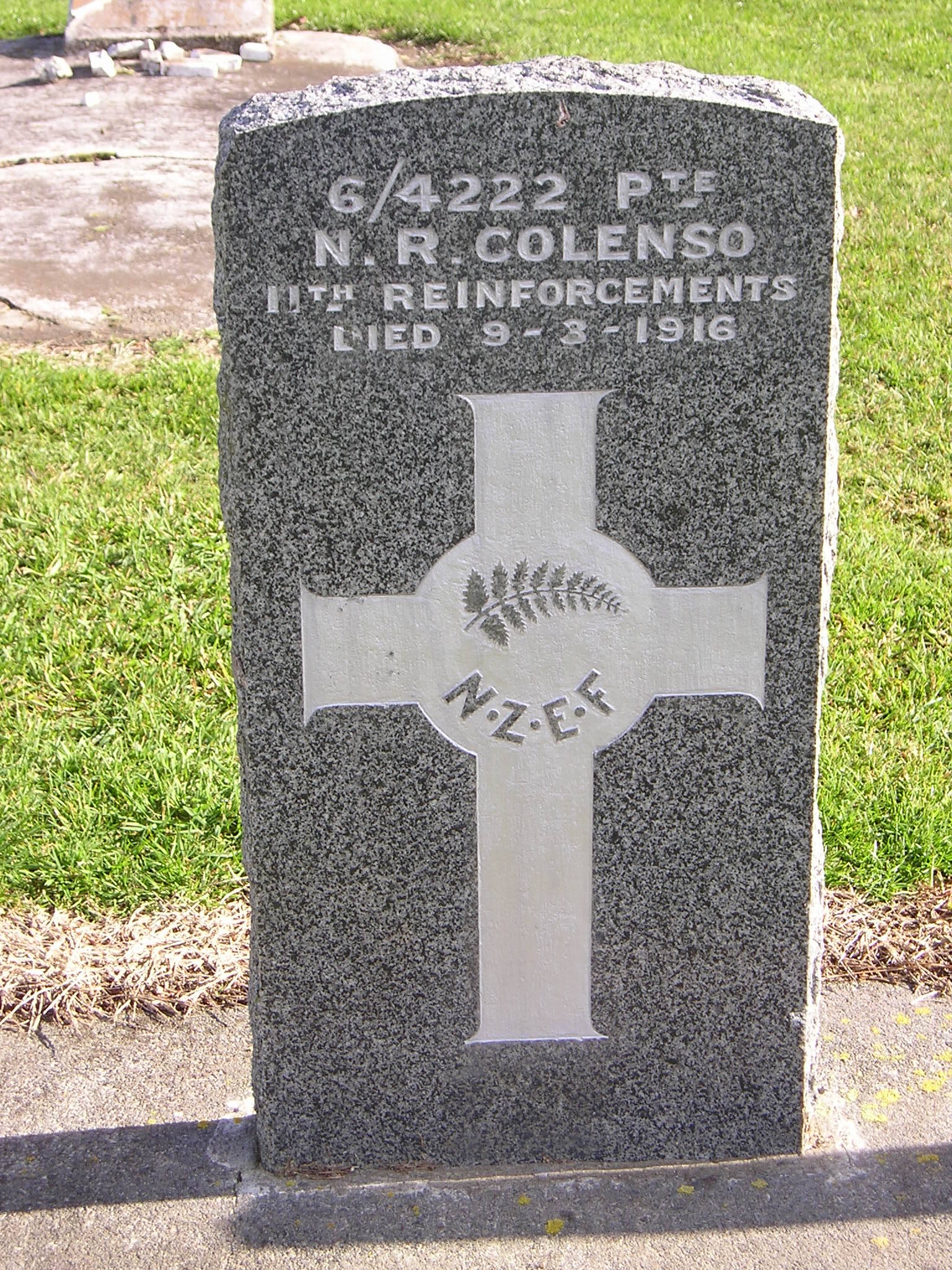 Nelson Reginald Colenso