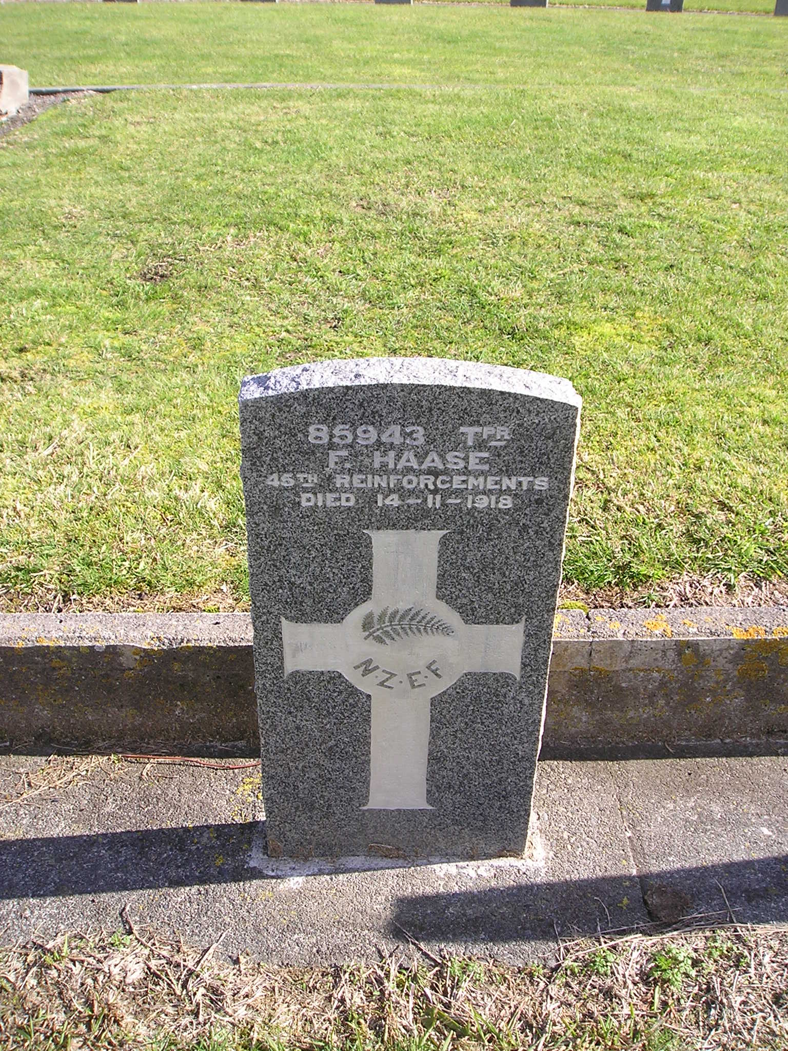 Frederick Haase