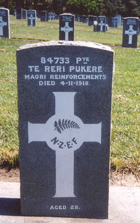Te Riri Pukere