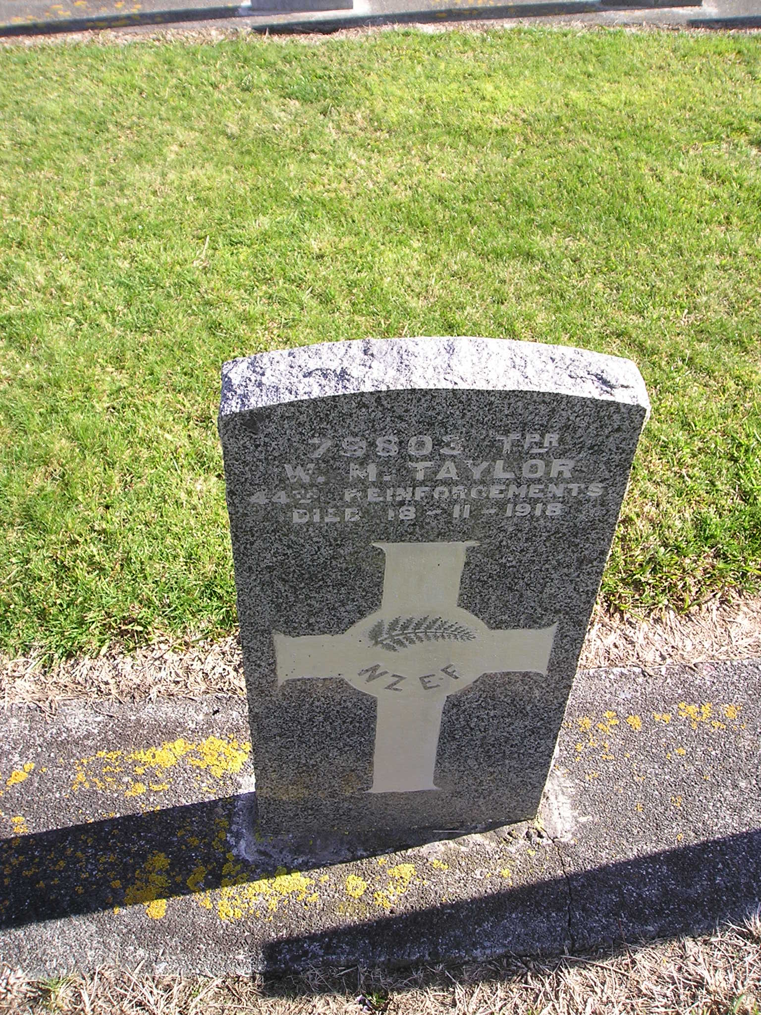 William Miles Taylor
