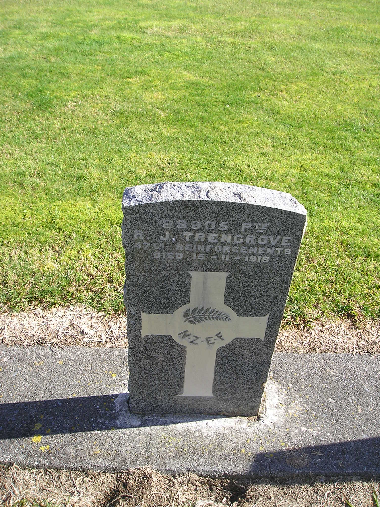 Robert James Trengrove