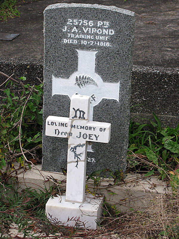 Joseph Alon Vipond