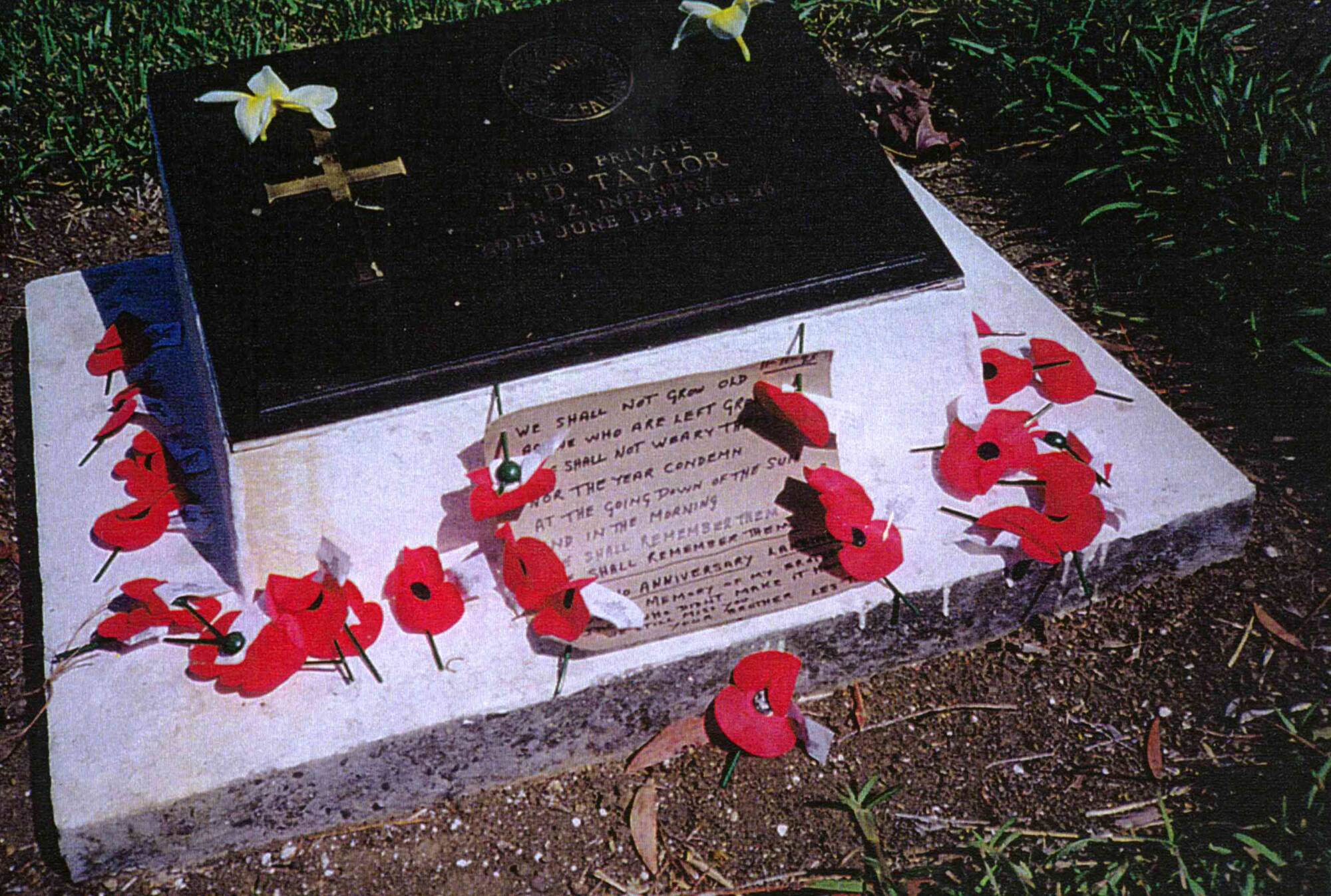 Auckland cemetery poppy Significance and Financial Impact