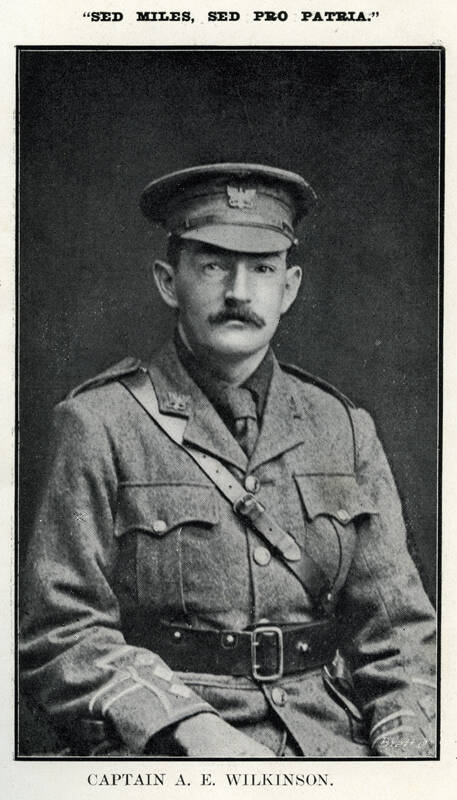 Albert Edward Wilkinson